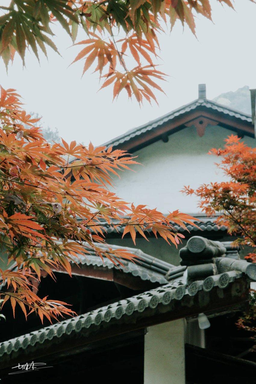 逃离违建房屋8